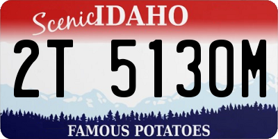 ID license plate 2T5130M