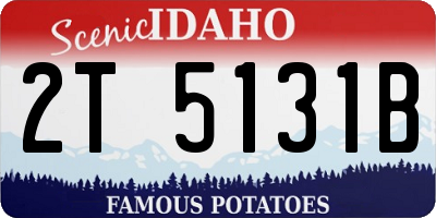 ID license plate 2T5131B