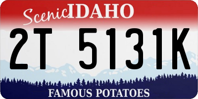 ID license plate 2T5131K