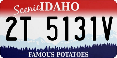 ID license plate 2T5131V