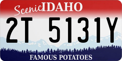 ID license plate 2T5131Y