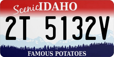 ID license plate 2T5132V