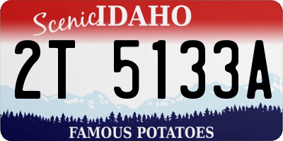 ID license plate 2T5133A