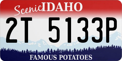 ID license plate 2T5133P