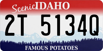 ID license plate 2T5134Q