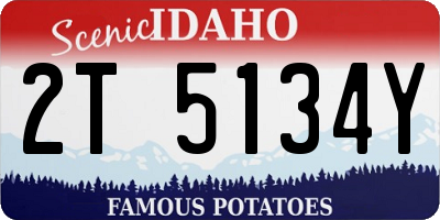 ID license plate 2T5134Y
