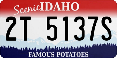 ID license plate 2T5137S