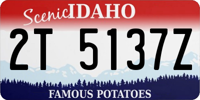 ID license plate 2T5137Z