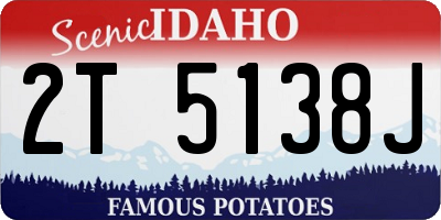 ID license plate 2T5138J