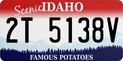 ID license plate 2T5138V
