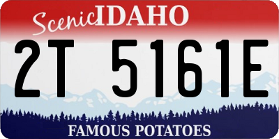 ID license plate 2T5161E