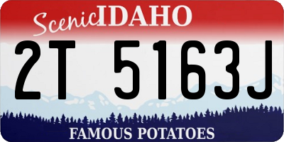 ID license plate 2T5163J