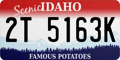 ID license plate 2T5163K