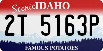 ID license plate 2T5163P