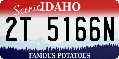 ID license plate 2T5166N