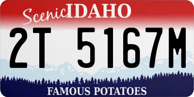 ID license plate 2T5167M