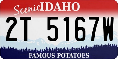 ID license plate 2T5167W