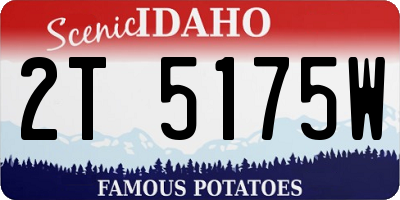 ID license plate 2T5175W