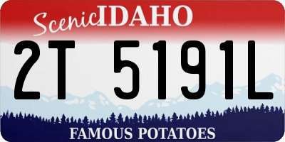 ID license plate 2T5191L