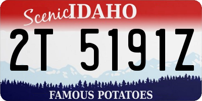 ID license plate 2T5191Z