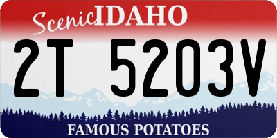 ID license plate 2T5203V