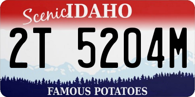 ID license plate 2T5204M