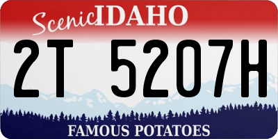 ID license plate 2T5207H