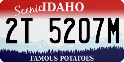ID license plate 2T5207M