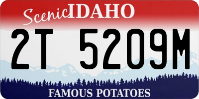 ID license plate 2T5209M
