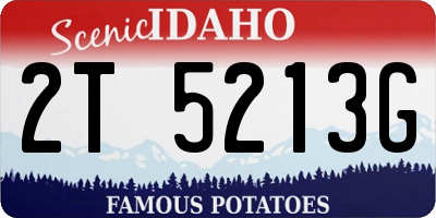 ID license plate 2T5213G