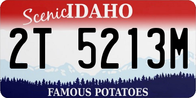 ID license plate 2T5213M