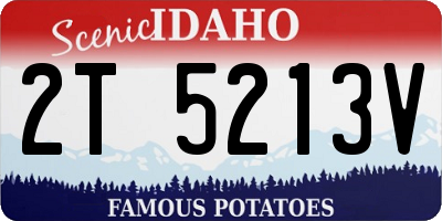 ID license plate 2T5213V