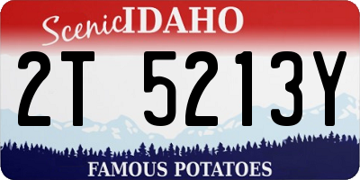 ID license plate 2T5213Y