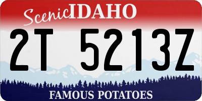 ID license plate 2T5213Z