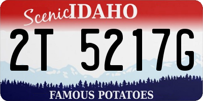 ID license plate 2T5217G