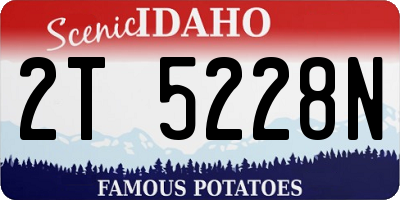 ID license plate 2T5228N