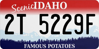 ID license plate 2T5229F