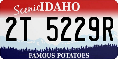 ID license plate 2T5229R