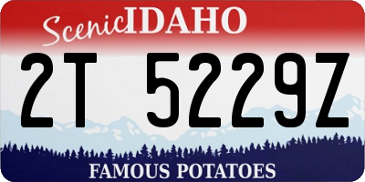ID license plate 2T5229Z