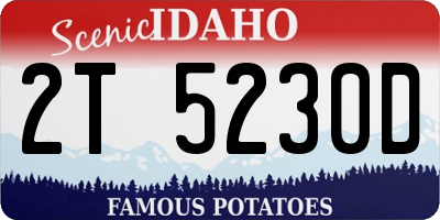 ID license plate 2T5230D