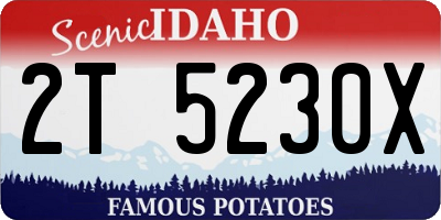 ID license plate 2T5230X