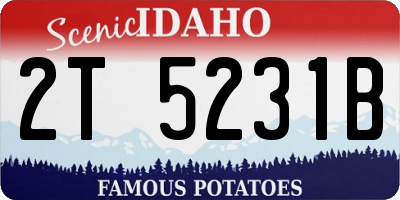 ID license plate 2T5231B