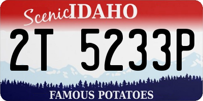 ID license plate 2T5233P