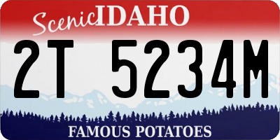 ID license plate 2T5234M