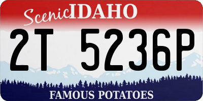 ID license plate 2T5236P