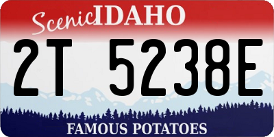 ID license plate 2T5238E