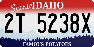 ID license plate 2T5238X