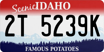 ID license plate 2T5239K