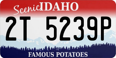 ID license plate 2T5239P