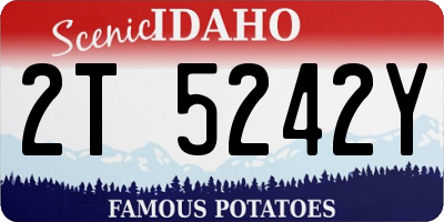 ID license plate 2T5242Y